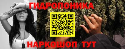ГАЛЛЮЦИНОГЕННЫЕ ГРИБЫ Мариинск