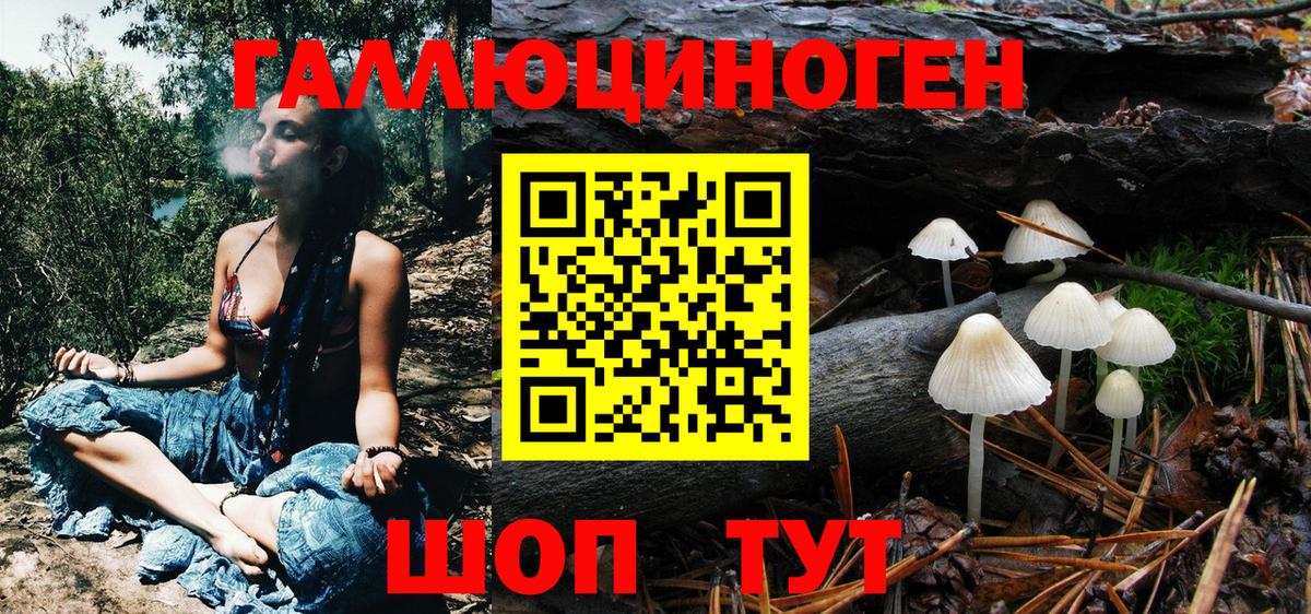 Гурьевск  Галлюциногенные грибы Psilocybine cubensis  Галлюциногенные грибы Psilocybine cubensis  Вход с VPN 