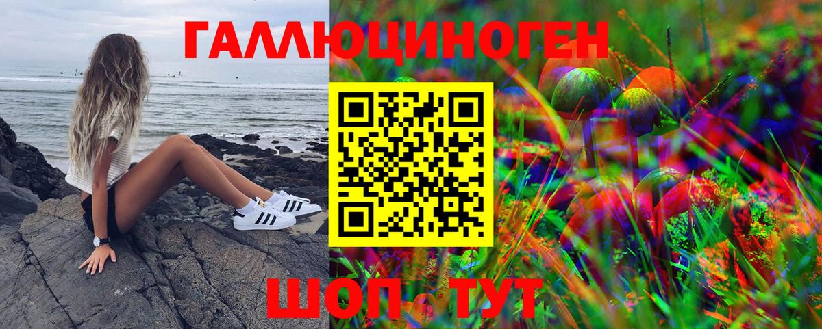 Галлюциногенные грибы MAGIC MUSHROOMS Гурьевск