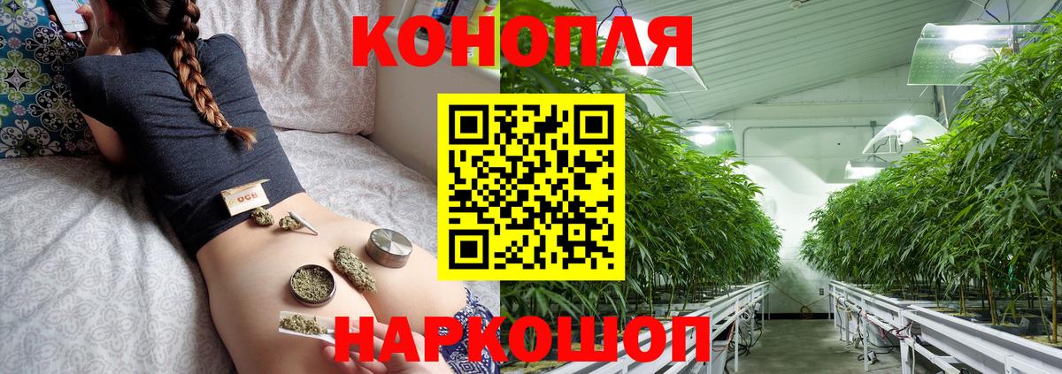 Гурьевск  Каннабис сатива  Конопля Ganja  Вход с VPN  Конопля OG Kush 